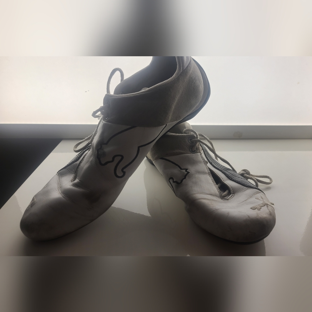 USED PUMAS